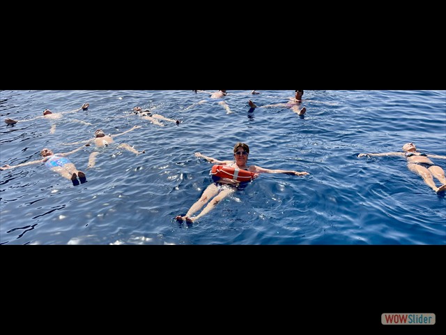 390 Tutti al bagno!