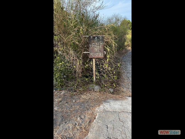445 Valle dei mostri