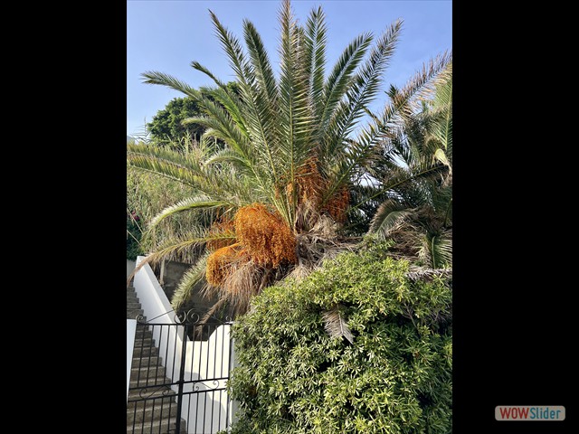460 si mescola
