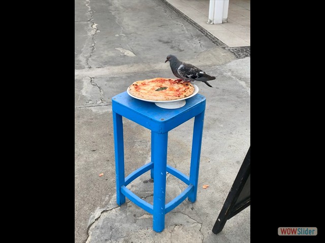 475 Vero colombo e  vera pizza