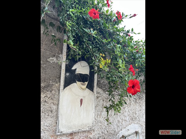 481 Pulcinella