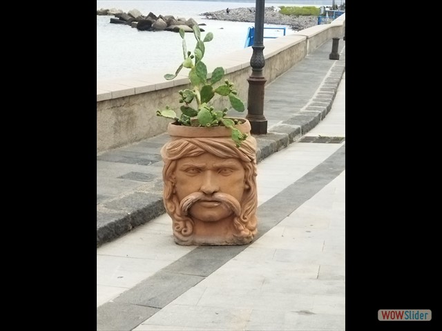 501 Salina, vaso maschio!