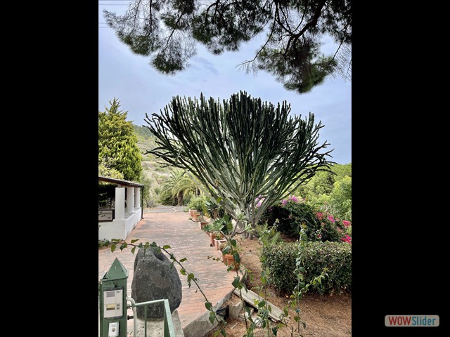 519 in discesa, una villa