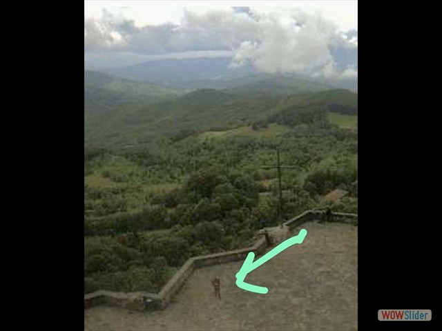 288 la vista dall web-cam