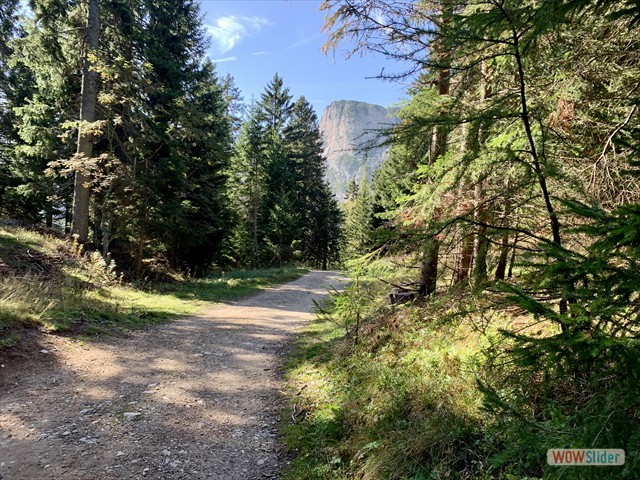 553 Sullo sfondo il Monte Roen
