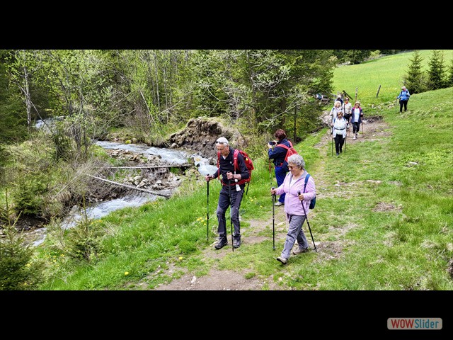 246 in primis Umberto