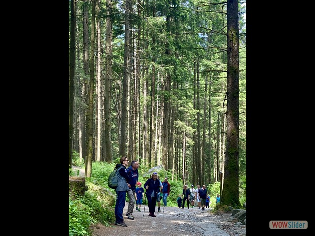 261 noi nel bosco