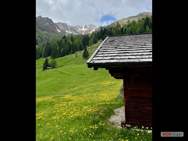 140 prati fioriti