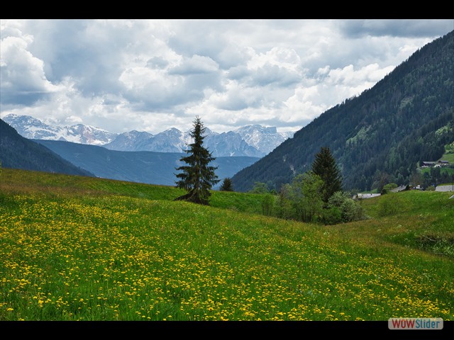 162 una valle fiorita