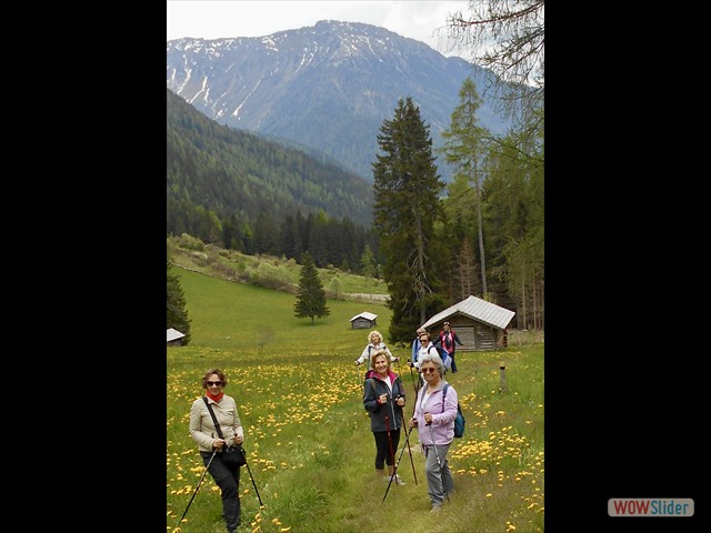 163 verso la malga