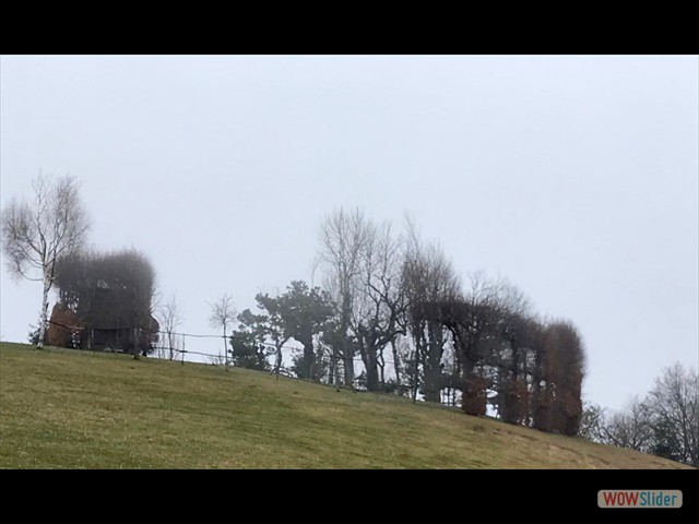 Un ''gioco'' di caccia
