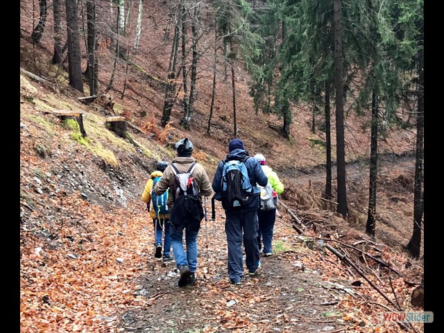 Quelli che han proseguito il cammino
