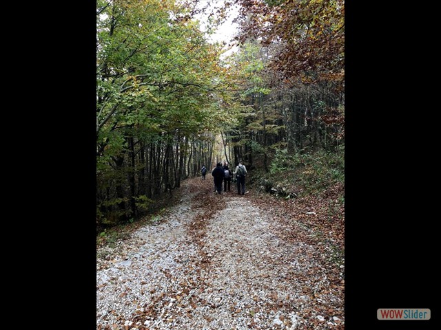 454 l'autunnale sentiero
