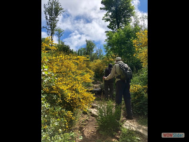266 La salita al Monte Penna