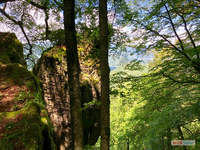 277 Il sasso di San Francesco
