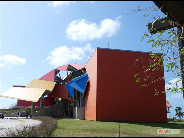139 il Museo della biodiversità
