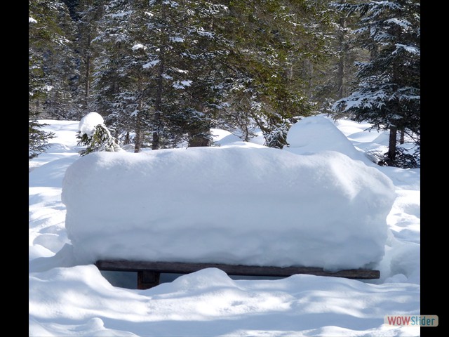 045 un letto di neve e