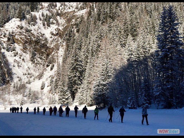 070 meglio camminare all'ombra!