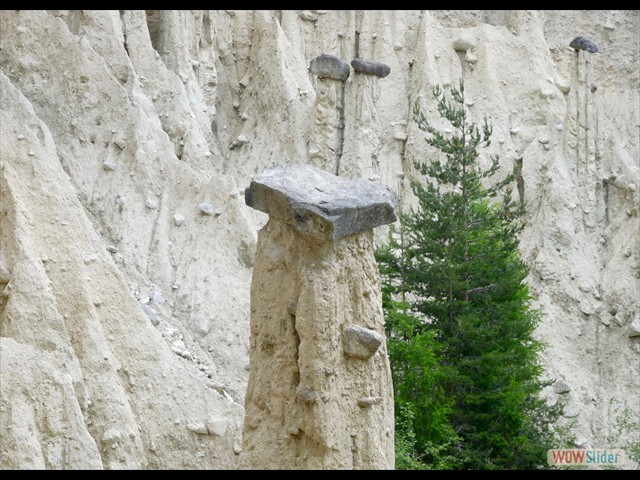 354 Da notare i granitici cappelli