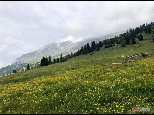 367 Dietro, il Picco di Vallandro
