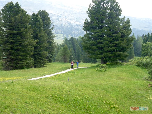 377 Altri alla Malga Stolla