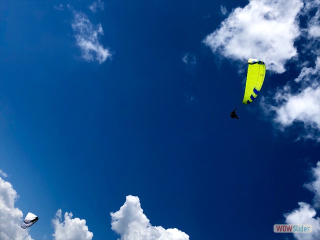396 Ali in volo