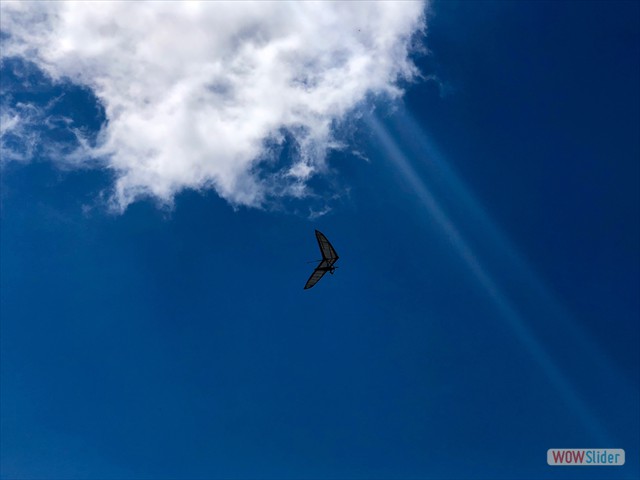 397 Uccelli volanti