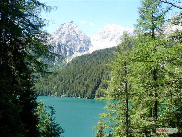 311 Il lago dall'alto