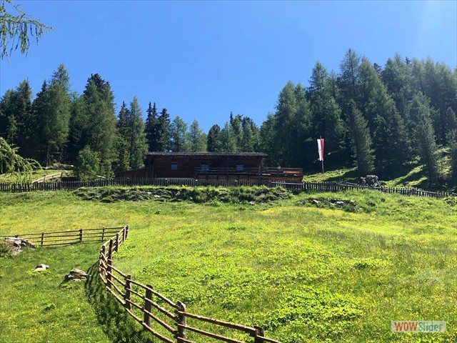 312 La Malga Steinzger
