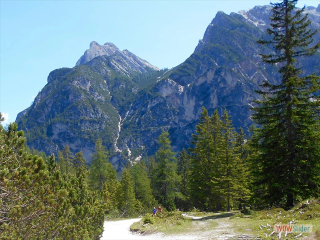 336 I 12 Apostoli