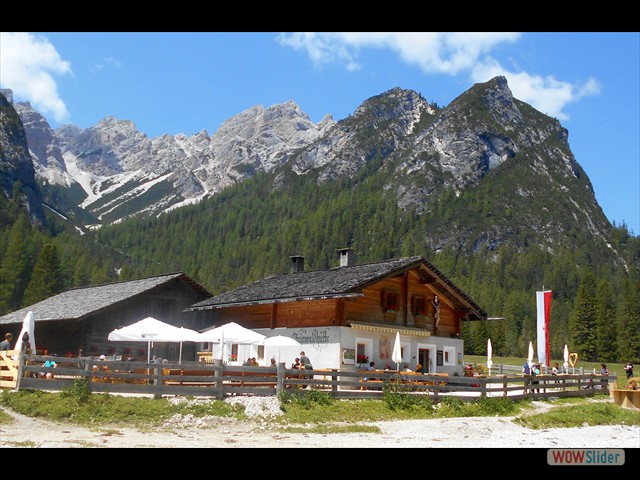 337 La Malga Foresta