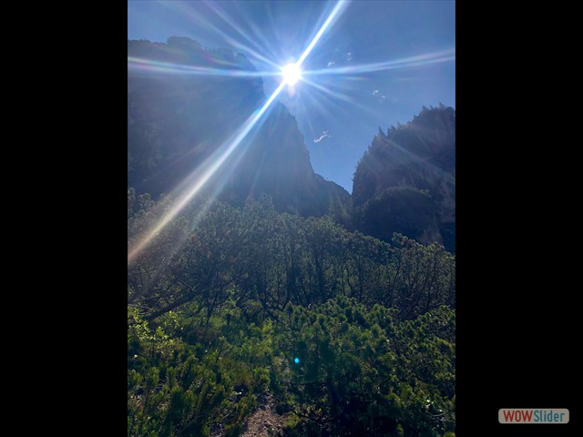 338 Al sole tra il pino mugo 