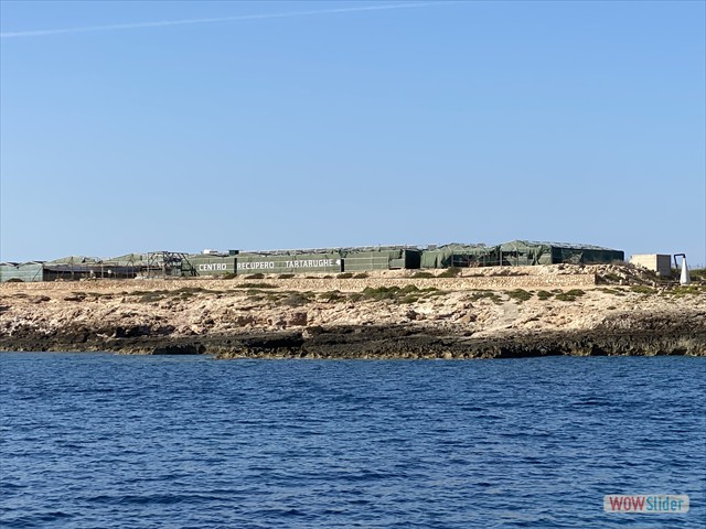 32 uno scoglio per tartarughe_ 