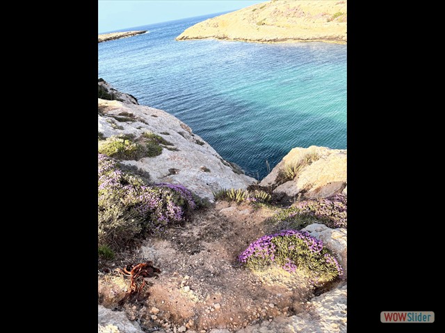 41 mare da sogno