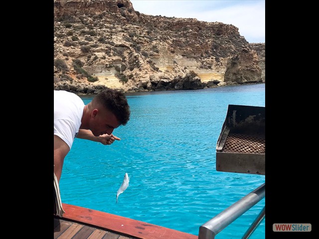 45 un mare ... pescoso