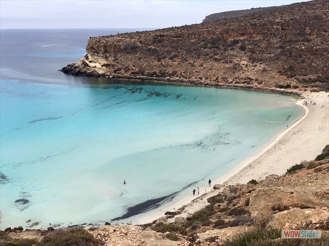 80 la spiaggia dei conigli