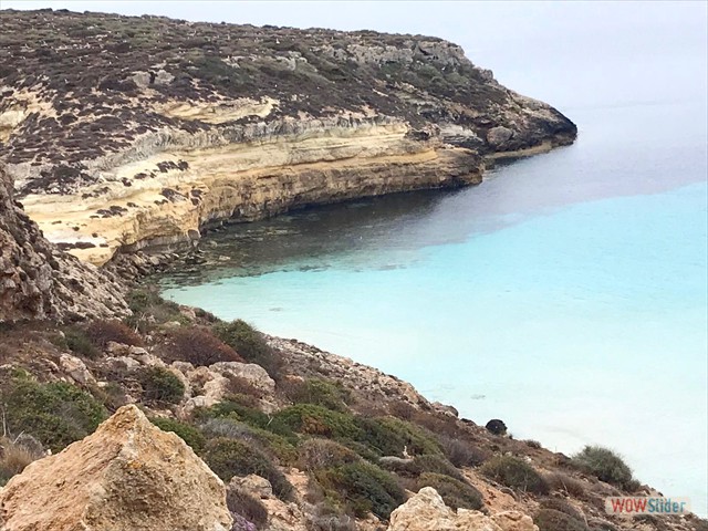 83 lo sperone dell'isola dei conigli 