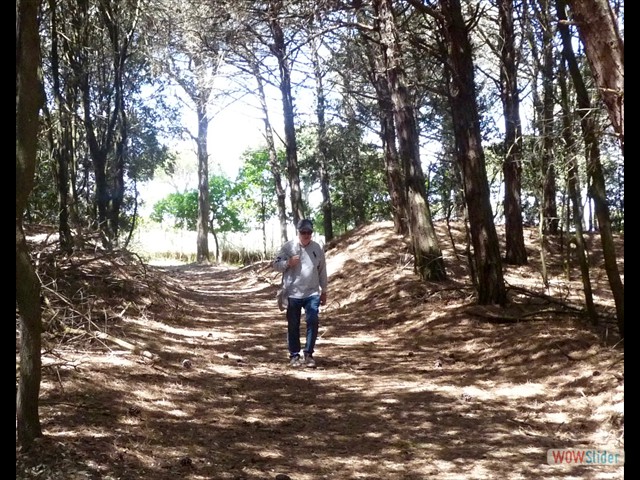 15 il camminatore solitario!