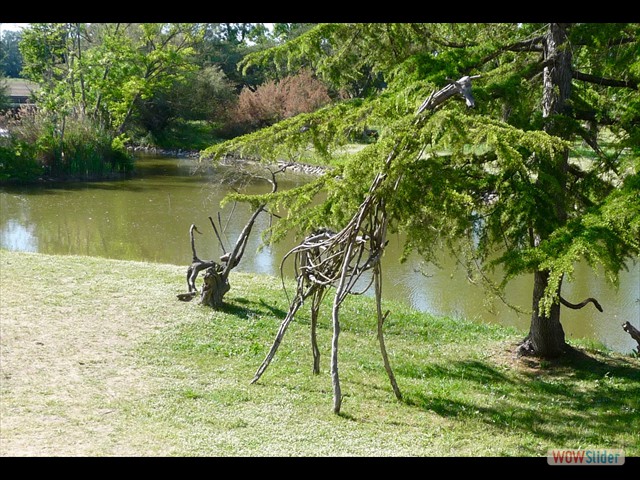 22 la giraffa