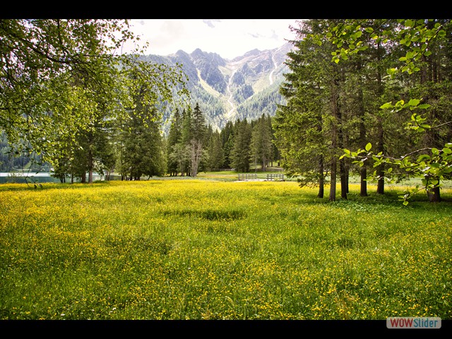 192 prato fiorito e ponticello