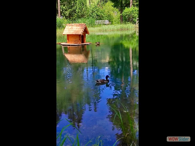 221 e piccoli laghi 