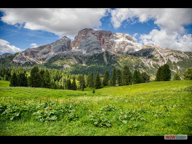 161 Croda Rossa e prati verdi!