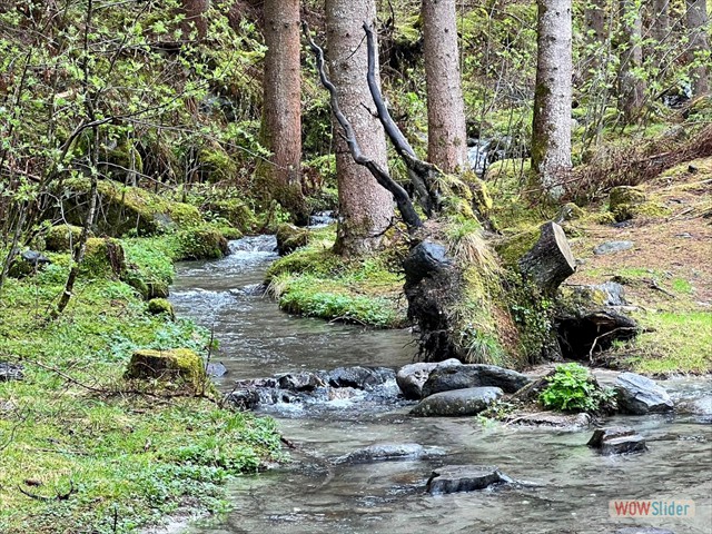 243 il torrente
