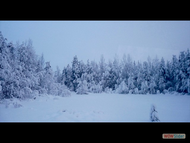 17 tipica natura finlandese
