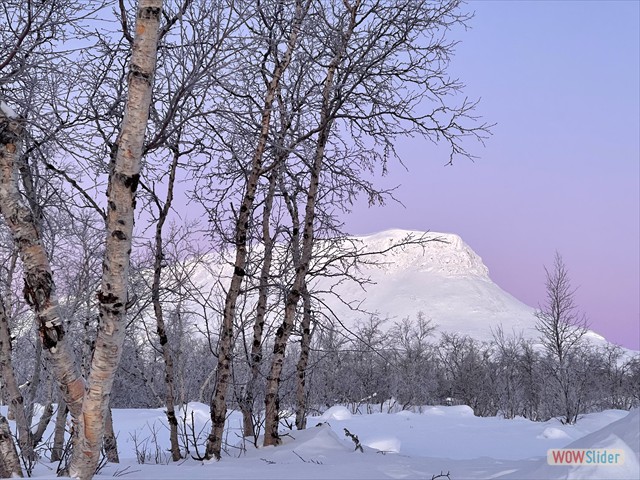 32 betulle e il monte Saana