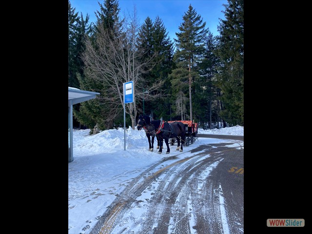175 aspettavamo l'autobus...