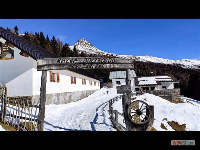 31 a Malga Coltrondo