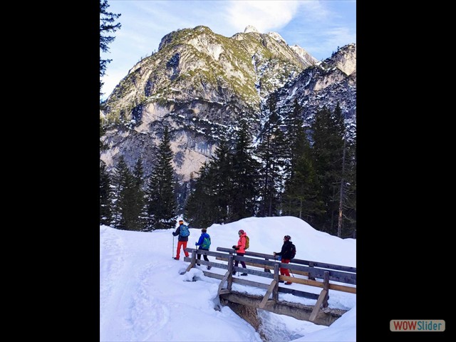 35 verso malga Foresta